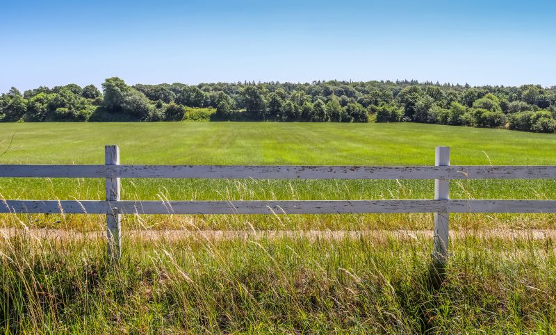 Farm Clearing in Gwinnett County, GA