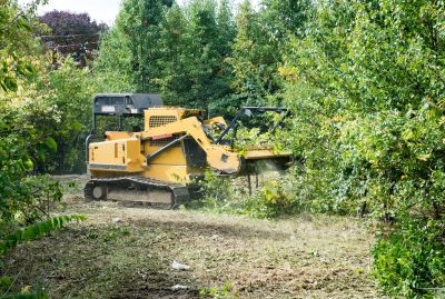 Lake Lot Clearing in Atlanta, GA