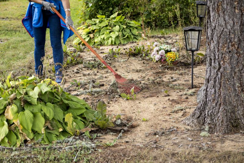 Site Cleanup Services