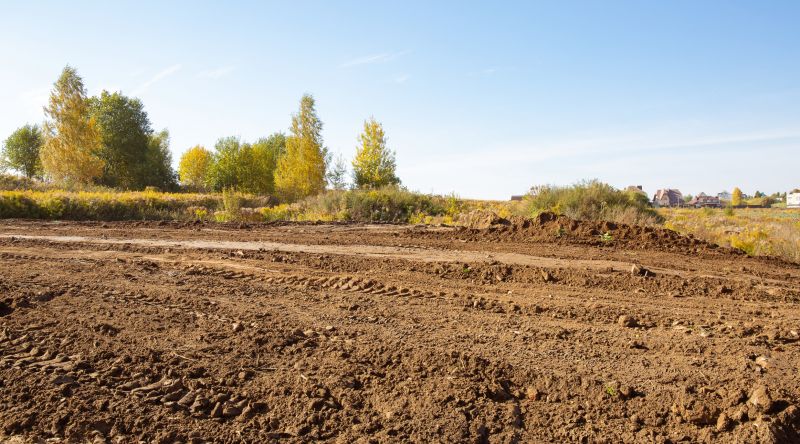 Pool Land Clearing in Utah County, UT