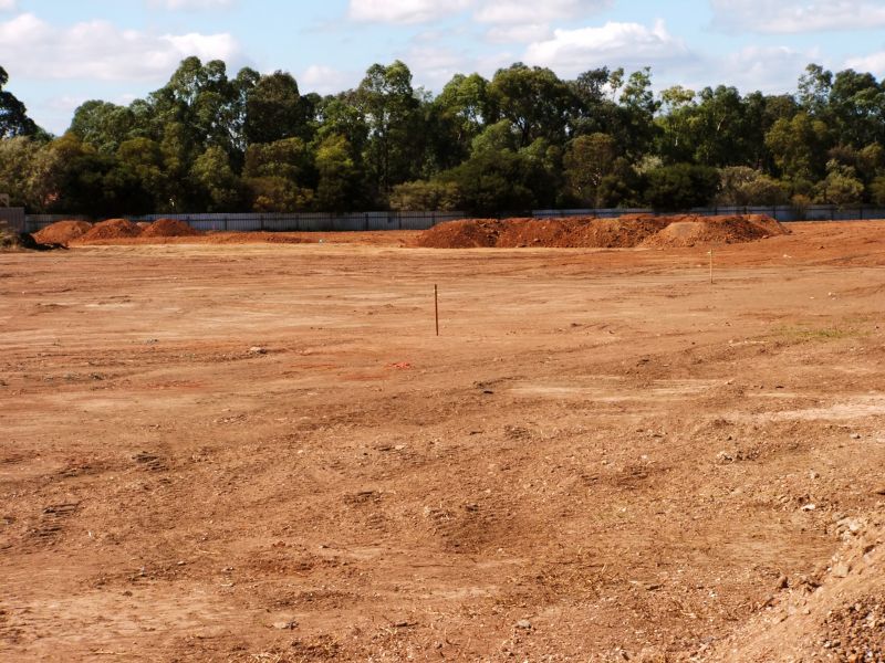 Products For Lot Clearings in use