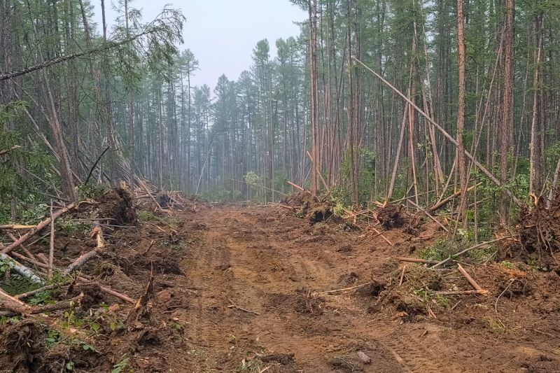 Site Cleaning in Gwinnett County, GA